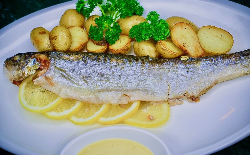 Baked Trout